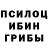Псилоцибиновые грибы мицелий Tessi William