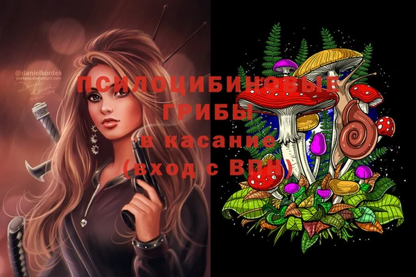 альфа пвп Губаха