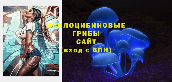 соль ск Кодинск